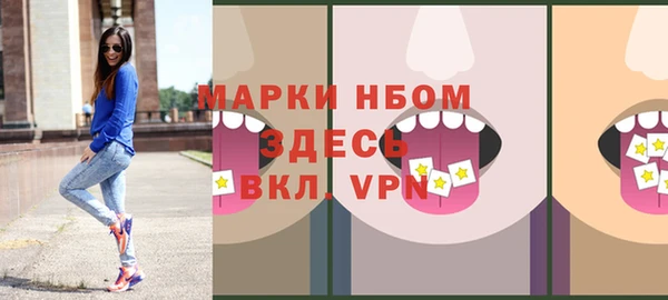 гашик Пестово