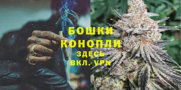 гашик Пестово
