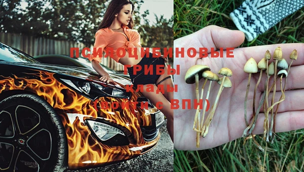 кристаллы Покачи