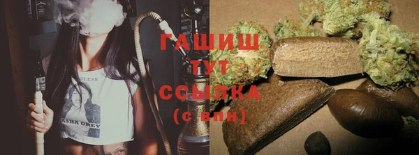 гашик Пестово